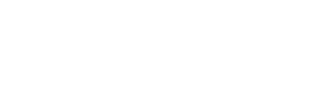 Authorized Dealer